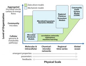 Modeling the chemical-microbe network over physical scales from cells to global, and organizational levels from cellular to aggregated systems. Mechanistic models (blue) and data-driven models (green) cover the spatial and organizational space. Gray arrows show key links between model scales. Figure credit: C-CoMP Team.