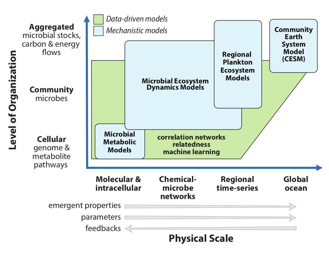 Modeling the chemical-microbe network over continuums of physical scales and organizational levels; detailed description is included in the caption.