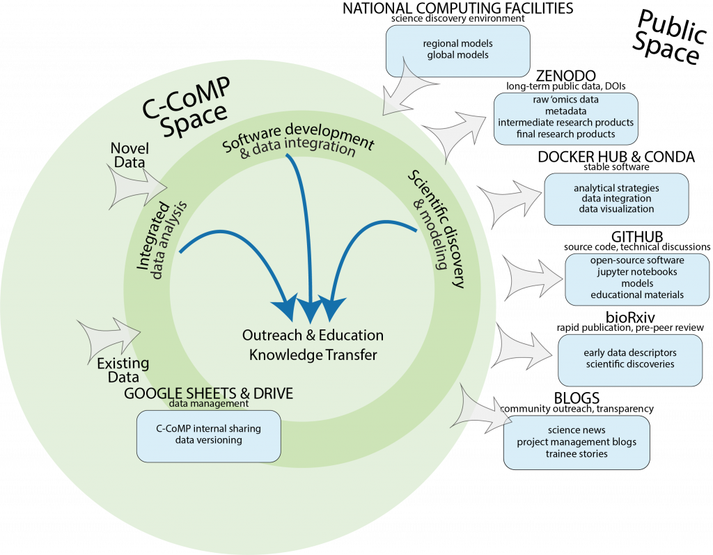 Strategies for C-CoMP knowledge transfer within the ‘C-CoMP space’ and with the ‘Public space’; a detailed description is provided in the text above.