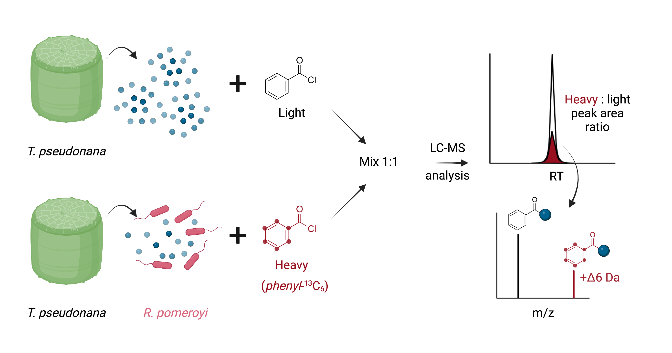 A detailed description of this figure is included in the text within the ‘Gaining biological insight from metabolite fraction libraries’ paragraph.