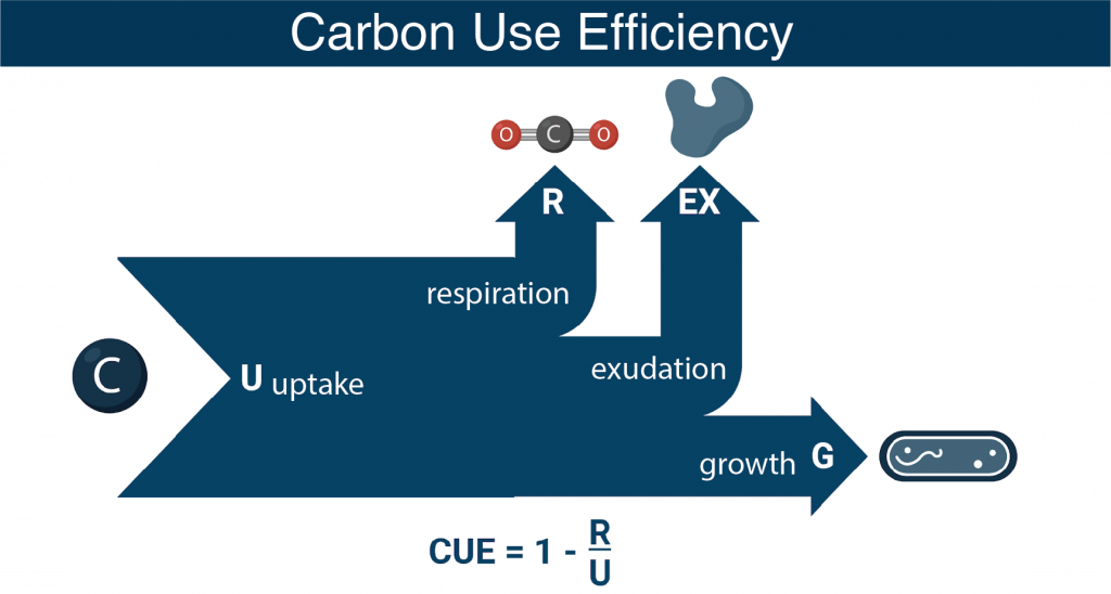 Bacterial Carbon Use Efficiency – C-CoMP