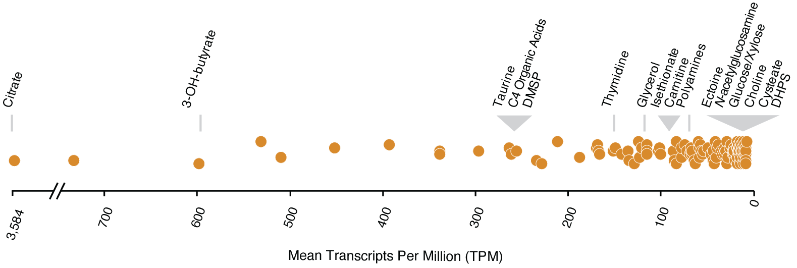 Mean relative expression levels for R. pom; a detailed description is provided in the figure caption.