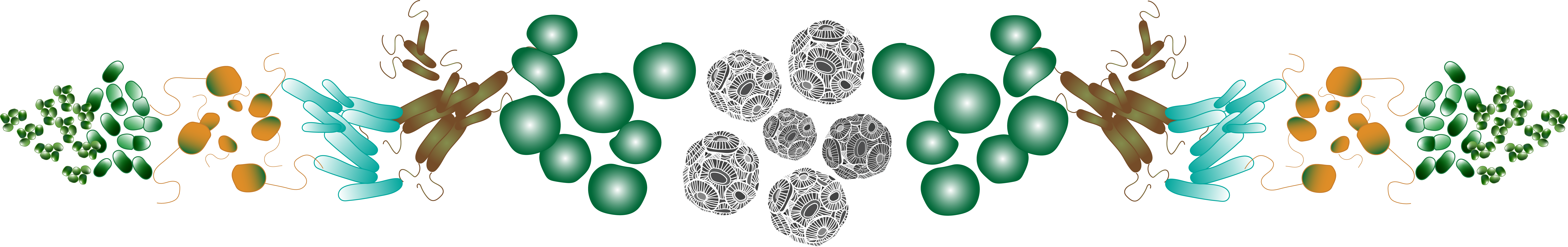 Illustration by Laura Gray, WHOI.