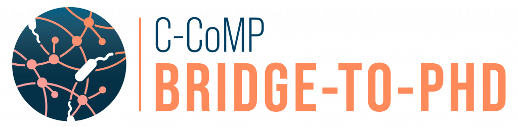 C-CoMp_Bridge to PDH__Primary